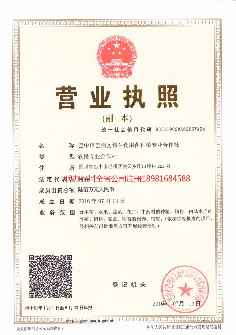 楚雄州楚雄州伟兰食用菌种植专业合作社